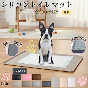 y5{|Cgz{XgeAiBoston TerrierjybggC}bg VR h ~ 􂦂  L ^ ^ ybgV[gh~ g[p t[Oی LP