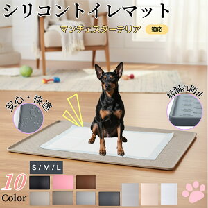 y5{|Cgz}`FX^[eAiManchester TerrierjybggC}bg VR h ~ 􂦂  L ^ ^ ybgV[gh~ g[p t[O