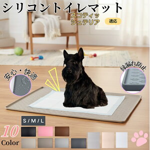 y5{|CgzXReBbVeAiScottish TerrierjybggC}bg VR h ~ 􂦂  L ^ ^ ybgV[gh~ g[p t[Oی