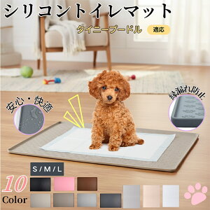 y5{|Cgz^Cj[v[hiTiny PoodlejybggC}bg VR h ~ 􂦂  L ^ ^ ybgV[gh~ g[p t[Oی LP