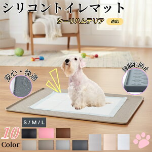 y5{|CgzV[neAiSealyham TerrierjybggC}bg VR h ~ 􂦂  L ^ ^ ybgV[gh~ g[p t[Oی 