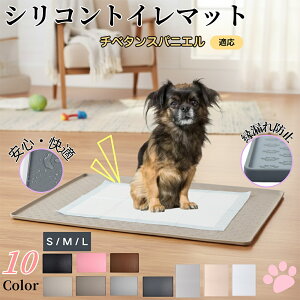 `x^XpjGybggC}bg VR h ~ 􂦂  L ^ ^ ybgV[gh~ g[p t[Oی LPA Ή 