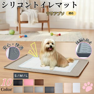 y5{|CgzTEAv\iLhasa ApsojybggC}bg VR h ~ 􂦂  L ^ ^ ybgV[gh~ g[p t[Oی LPA 