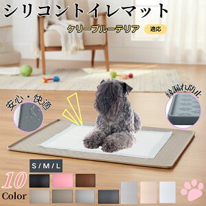 P[u[EeAybggC}bg VR h ~ 􂦂  L ^ ^ ybgV[gh~ g[p t[Oی LPA Ή 