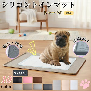 y5{|CgzV[yCiShar PeijybggC}bg VR h ~ 􂦂  L ^ ^ ybgV[gh~ g[p t[Oی LPA 