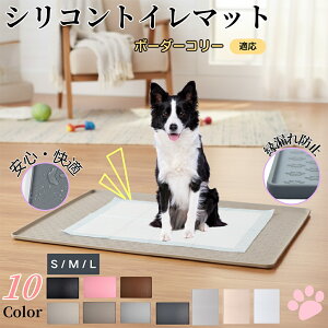 y5{|Cgz{[_[ER[iBorder ColliejybggC}bg VR h ~ 􂦂  L ^ ^ ybgV[gh~ g[p t[Oی L