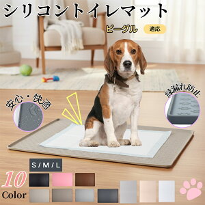 r[OiBeaglejybggC}bg VR h ~ 􂦂  L ^ ^ ybgV[gh~ g[p t[Oی LPA Ή ɂ