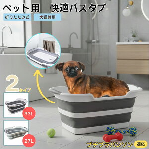 v`uo\܂肽ݎ ybgoX^u RpNg[ t L    h[oPc 炢p y ^ѕ֗ pr ȒP AEghA◷s