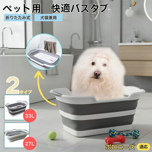 {j[YiBolognesej܂肽ݎ ybgoX^u RpNg[ t L    h[oPc 炢p y ^ѕ֗ pr ȒP AEghA◷