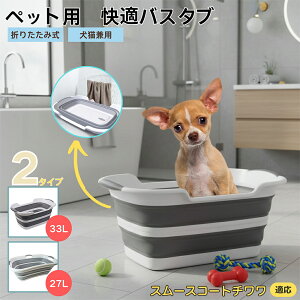 X[XR[g`܂肽ݎ ybgoX^u RpNg[ t L    h[oPc 炢p y ^ѕ֗ pr ȒP AEghA◷