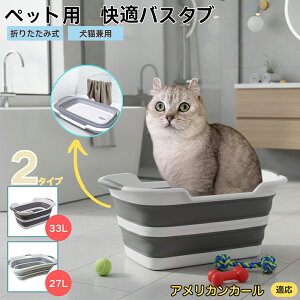 AJJ[ American Curl܂肽ݎ ybgoX^u RpNg[ t L    h[oPc 炢p y ^ѕ֗ pr ȒP AEghA