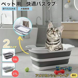 AJV[gwA American Shorthair܂肽ݎ ybgoX^u RpNg[ t L    h[oPc 炢p y ^ѕ֗ pr ȒP 