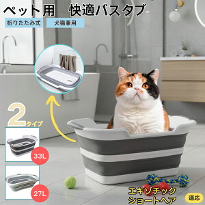 GL]`bNV[gwA ܂肽ݎ ybgoX^u RpNg[ t L    h[oPc 炢p y ^ѕ֗ pr ȒP AEghA