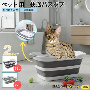 ToiLbg Savannah Cat ܂肽ݎ ybgoX^u RpNg[ t L    h[oPc 炢p y ^ѕ֗ pr ȒP AEghA