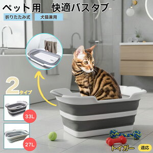 gCK[ Toyger ܂肽ݎ ybgoX^u RpNg[ t L    h[oPc 炢p y ^ѕ֗ pr ȒP AEghA◷sɂg