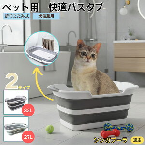 VKv[ Singapura ܂肽ݎ ybgoX^u RpNg[ t L    h[oPc 炢p y ^ѕ֗ pr ȒP AEghA◷s