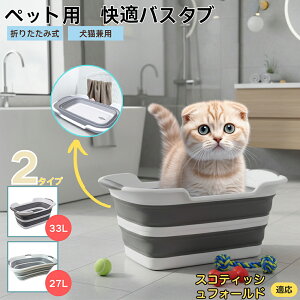 XReBbVtH[h XR Scottish Fold ܂肽ݎ ybgoX^u RpNg[ t L    h[oPc 炢p y ^ѕ֗ pr 