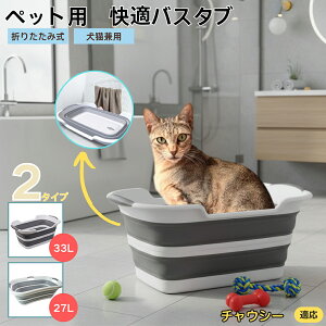 `EV[ Chausie ܂肽ݎ ybgoX^u RpNg[ t L    h[oPc 炢p y ^ѕ֗ pr ȒP AEghA◷s