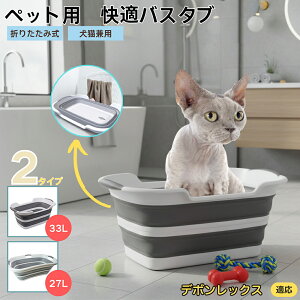 f{bNX Devon Rex ܂肽ݎ ybgoX^u RpNg[ t L    h[oPc 炢p y ^ѕ֗ pr ȒP AEghA◷