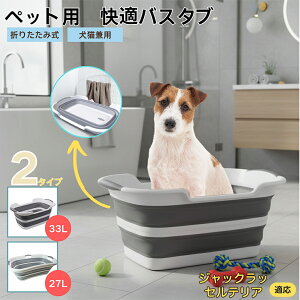 WbNEbZEeA (Jack Russell Terrier)܂肽ݎ ybgoX^u RpNg[ t L    h[oPc 炢p y ^ѕ֗ pr 