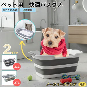 m[tH[NeAiNorfolk Terrierj܂肽ݎ ybgoX^u RpNg[ t L    h[oPc 炢p y ^ѕ֗ pr ȒP A