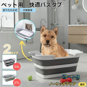 m[b`eAiNorwich Terrierj܂肽ݎ ybgoX^u RpNg[ t L    h[oPc 炢p y ^ѕ֗ pr ȒP AE