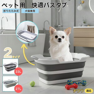 `iChihuahuaj܂肽ݎ ybgoX^u RpNg[ t L    h[oPc 炢p y ^ѕ֗ pr ȒP AEghA◷s