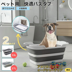 AJEX^btH[hV[EeA܂肽ݎ ybgoX^u RpNg[ t L    h[oPc 炢p y ^ѕ֗ pr 