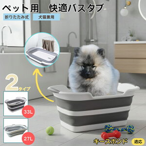 L[XzhiKeeshondj܂肽ݎ ybgoX^u RpNg[ t L    h[oPc 炢p y ^ѕ֗ pr ȒP AEghA◷