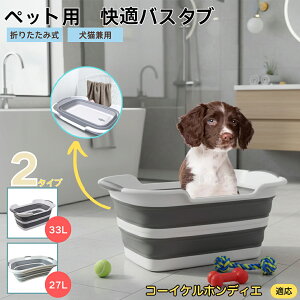 R[CPzfBG܂肽ݎ ybgoX^u RpNg[ t L    h[oPc 炢p y ^ѕ֗ pr ȒP AEghA◷