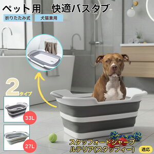 X^btH[hV[EuEeA܂肽ݎ ybgoX^u RpNg[ t L    h[oPc 炢p y ^ѕ֗ pr ȒP 