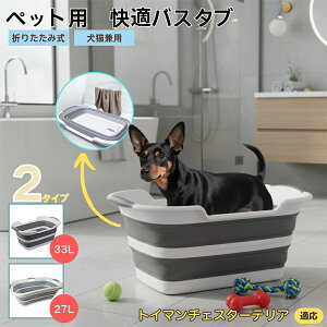 gC}`FX^[eA܂肽ݎ ybgoX^u RpNg[ t L    h[oPc 炢p y ^ѕ֗ pr ȒP AEghA