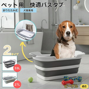 r[OiBeaglej܂肽ݎ ybgoX^u RpNg[ t L    h[oPc 炢p y ^ѕ֗ pr ȒP AEghA◷s