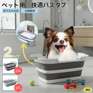 psiPapillonj܂肽ݎ ybgoX^u RpNg[ t L    h[oPc 炢p y ^ѕ֗ pr ȒP AEghA◷s