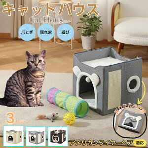 y5{|Cgz AJC[wA American WirehairLnEX ybgxbh ~p ۉRR Q ܂Ƃt OK ܂肽ݎ[\ Ȃ{bNX^ Lpxbh 