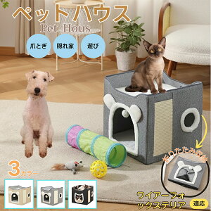 y5{|CgzC[tHbNXeAiWire Fox TerrierjnEX ybgxbh ~p ۉRR Q ܂Ƃt OK ܂肽ݎ[\ Ȃ{bNX^ Lpxbh