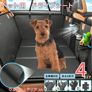 y5{|CgzEFVeAiWelsh TerrierjybgphCuV[g 㕔ȃJo[ h h h bVt ^ ^ ^ SΉ Lp ԗpybgV[g 