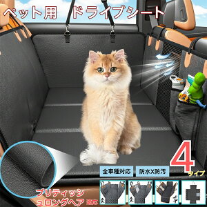 y5{|CgzueBbVOwA British Longhair ybgphCuV[g 㕔ȃJo[ h h h bVt ^ ^ ^ SΉ Lp ԗpybgV[