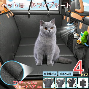 ueBbVV[gwA British ShorthairybgphCuV[g 㕔ȃJo[ h h h bVt ^ ^ ^ SΉ Lp ԗpybgV[g \ 