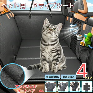 AJV[gwA American ShorthairybgphCuV[g 㕔ȃJo[ h h h bVt ^ ^ ^ SΉ Lp ԗpybgV[g \ 