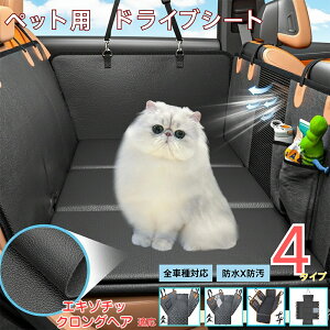 y5{|CgzGL]`bNOwA Exotic LonghairybgphCuV[g 㕔ȃJo[ h h h bVt ^ ^ ^ SΉ Lp ԗpybgV[g 