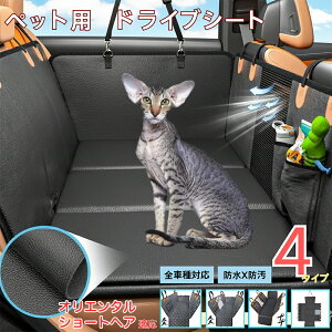 IG^V[gwA Oriental ShorthairybgphCuV[g 㕔ȃJo[ h h h bVt ^ ^ ^ SΉ Lp ԗpybgV[g \ 