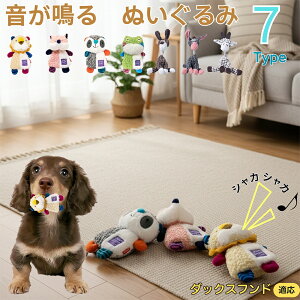 y5{|Cgz_bNXth    [vgC Rbg  v ϋv 􂦂 ^ q XgX V ނ Zbg Sf v[