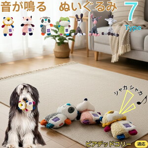 y5{|CgzrAfbhER[iBearded Colliej    [vgC Rbg  v ϋv 􂦂 ^ q XgX V ނ Zbg 