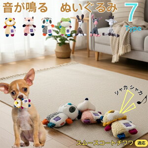 y5{|CgzX[XR[g`    [vgC Rbg  v ϋv 􂦂 ^ q XgX V ނ Zbg Sf v