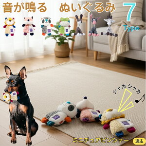 ~j`AsV[iMiniature Pinscherj    [vgC Rbg  v ϋv 􂦂 ^ q XgX V ނ Zbg Sf 