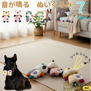 y5{|CgzXReBbVeAiScottish Terrierj    [vgC Rbg  v ϋv 􂦂 ^ q XgX V ނ Z