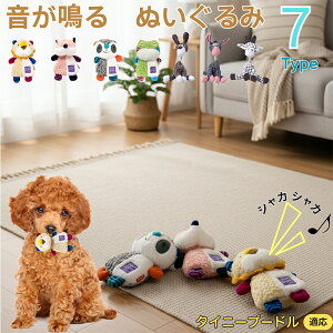 y5{|Cgz^Cj[v[hiTiny Poodlej    [vgC Rbg  v ϋv 􂦂 ^ q XgX V ނ Zbg S