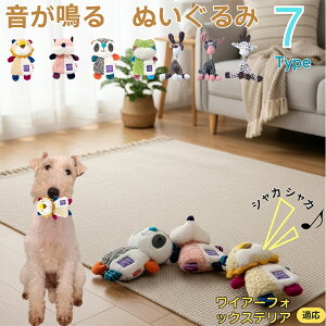 y5{|CgzC[tHbNXeAiWire Fox Terrierj    [vgC Rbg  v ϋv 􂦂 ^ q XgX V ނ