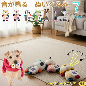 y5{|Cgzm[tH[NeAiNorfolk Terrierj    [vgC Rbg  v ϋv 􂦂 ^ q XgX V ނ Zbg